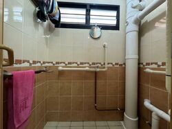 Blk 9 Holland Avenue (Queenstown), HDB 3 Rooms #530270351